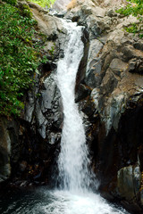 Obraz premium waterfall in the forest