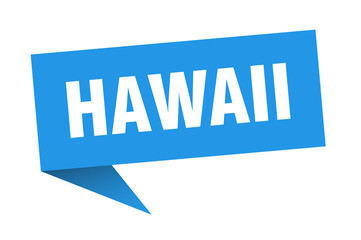 Hawaii sticker. Blue Hawaii signpost pointer sign