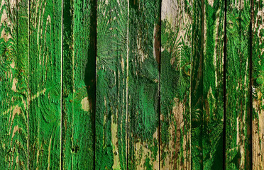 Obraz premium Old wooden boards on a fence painted with green paint.
