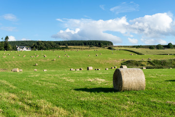 Farm near Culloden