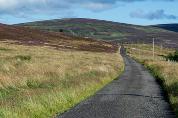 Fototapeta na wymiar Road to the Highlands