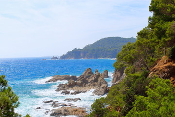 Rocks with pine trees growing on them, foam of the white sea, green trees against the background of the blue sea and mountains. Mediterranean Sea. Spain.1