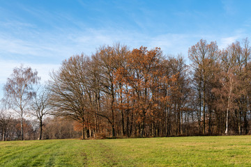 Im schönen Hanfbachtal in den Ausläufern des Siebengebirges