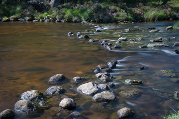 Loch Morlich near Aviemore