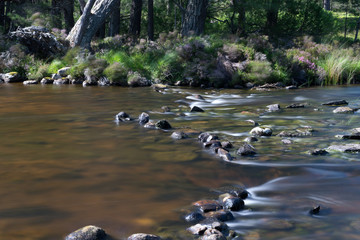 Loch Morlich near Aviemore