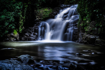 waterfall in the forest