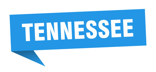 Tennessee sticker. Blue Tennessee signpost pointer sign