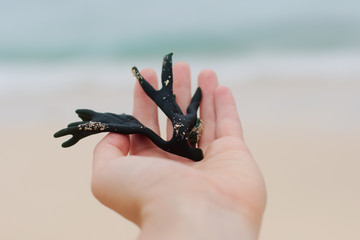 hand with seaweed