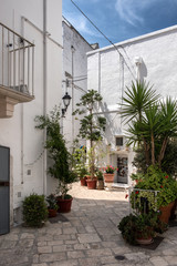 Fototapeta na wymiar Small deserted courtyard, plants in pots. Old town, white Locorotondo, Italy.