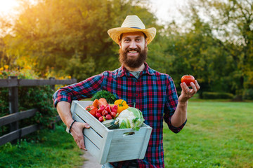 Young 30-35 years old young bearded man male farmer hat with box fresh ecological vegetables garden...