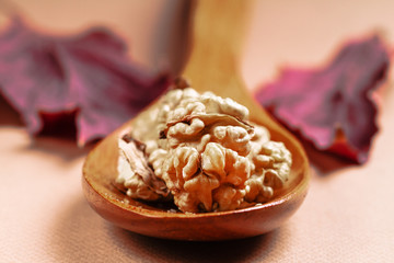 Still life with nuts on natural wood.