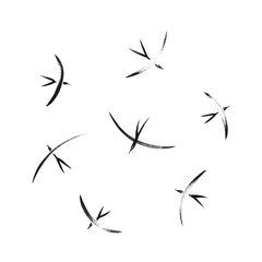 Simple stylized flying wild birds collection. Vector animal illustration, hand drawn graphic silhouettes painted by ink