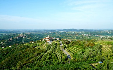 Fototapeta na wymiar Vineyards in Goriska Brda area, Slovenia