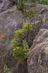 Rollagsfjell - Trillemarka Naturreservat, Landschaft, Norwegen