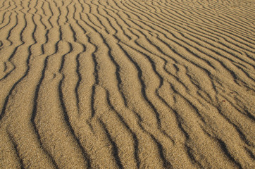 sand texture background on beach