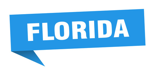 Florida sticker. Blue Florida signpost pointer sign