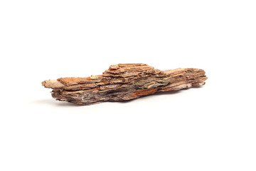 piece of pine bark on a white background, isolated