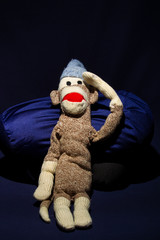 Studio - Sock Monkey 0977