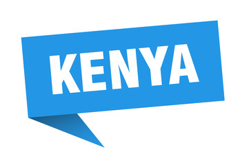 Kenya sticker. Blue Kenya signpost pointer sign