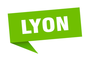 Lyon sticker. Green Lyon signpost pointer sign