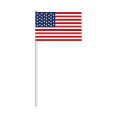 Flag of United States of America On Flag Pole