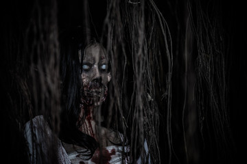 Portrait of asian woman make up ghost face with blood,Horror scene,Scary background,Halloween...