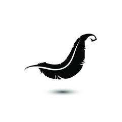 Sign of black feather, vector illustration isolated on white background with gray shadow