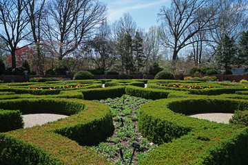 Arrangement of Topiary green garden park with blue sky