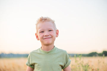 Naklejka na ściany i meble Portrait of a handsome blond boy with blue eyes in a wheat field