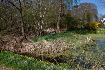 Vicarage Blijdenstein Ruinerwold Drenthe Netherlands