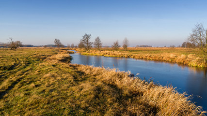 Rzeka Narew w okolicy Suraża, Narwiański Park Narodowy, Dolina Narwi, Suraż, Podlasie, Polska © podlaski49