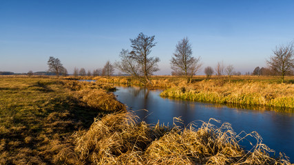 Rzeka Narew w okolicy Suraża, Narwiański Park Narodowy, Dolina Narwi, Suraż, Podlasie, Polska © podlaski49