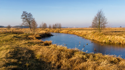 Rzeka Narew w okolicy Suraża, Narwiański Park Narodowy, Dolina Narwi, Suraż, Podlasie, Polska © podlaski49