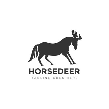 horsedeer logo with horse and horn deer combination vector