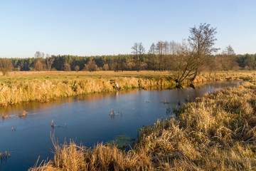 Rzeka Narew w okolicy Suraża, Narwiański Park Narodowy, Dolina Narwi, Suraż, Podlasie, Polska © podlaski49