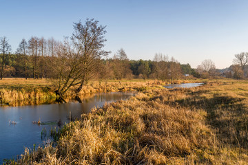 Rzeka Narew w okolicy Suraża, Narwiański Park Narodowy, Dolina Narwi, Suraż, Podlasie, Polska © podlaski49