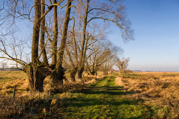 Rzeka Narew w okolicy Suraża, Narwiański Park Narodowy, Dolina Narwi, Suraż, Podlasie, Polska © podlaski49