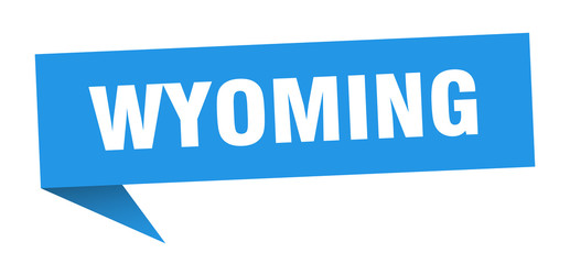 Wyoming sticker. Blue Wyoming signpost pointer sign