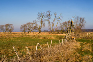 Rzeka Narew w okolicy Suraża, Narwiański Park Narodowy, Dolina Narwi, Suraż, Podlasie, Polska © podlaski49