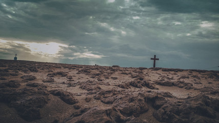 An extraordinary climate in the desert