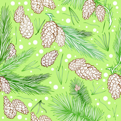 Vector hand draw sketch engraving of a pine cone, christmas trees branches, vector illustration