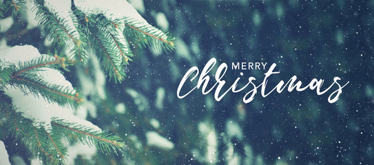 Merry Christmas Text With Winter Season Holiday Evergreen Christmas Tree Pine Branches Covered With Snow and Falling Snowflakes, Horizontal