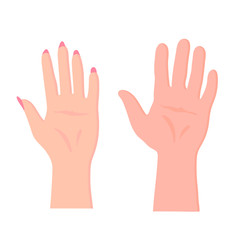 Cartoon flat vector illustration of two hand, man and woman handrawn hands, vector illustration