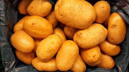 Potatoes Background Texture 2