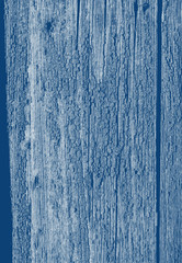 Fototapeta na wymiar Walnut wood texture. Background with blue tinted