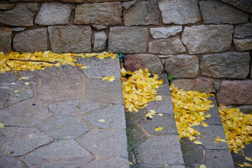 Hojas en color amarillo vivo en otoño en una escalera de piedra