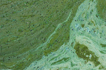 Cropped shot of dirty water, top view. Ecology, environmental pollution, nature concept. Abstract colorful background texture.