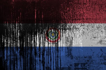 Paraguay flag depicted in paint colors on old and dirty oil barrel wall closeup. Textured banner on...