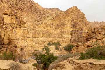Fototapeta na wymiar A hiking trail at the Wadi Mujib reserve. Jordan.
