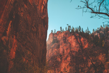 autumn in zion national park